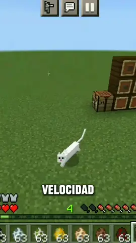 Con Este Mod Podremos Ser El Mob Que Mat3mos🤑 #minecraftbedrock #Minecraft #minecraftmods #moddedminecraft #fyp #parati 