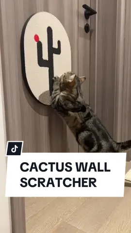 Get this Cactus Wall Scratcher to let your cat scratch while stretching! 😻✨