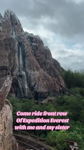 I dont get to ride this often because im always with the kids. Safe to say… front row is slow at the beginning but extremely fast at the end 😅 #disneyworld #disneymom #orlandomom #animalkingdomdisney #disneyworldorlando 