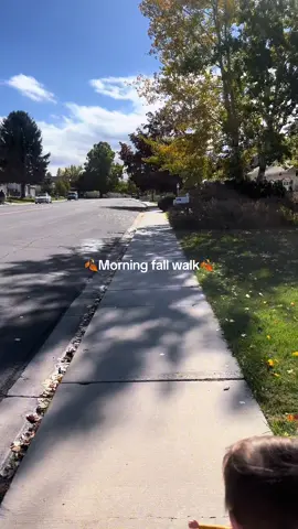 These little walks are always so fun🥰🍂 this weather is perfect✨ #CapCut #sahm #sahmlife #toddler #toddlersoftiktok #toddlerlife #sahmwalk #toddlermom #walk #fall #fallwalks🍁 #autumn #toddleractivities #pregnant #pregnantwalks #lifestylecontent #utah #fyp #foryoupage 