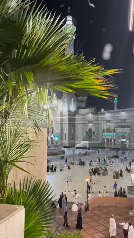 #أجمل_دعاء#دعاء_يريح_القلوب_ويطمئن_النفوس #أسأل_الله_العلي_القدير#صباح_الخير #اكسبلورر #زهرة_الإسلام 