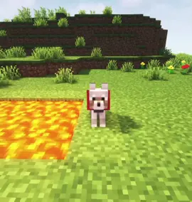 Villager killed my dog #Minecraft #shorts 