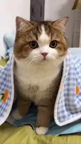 😊