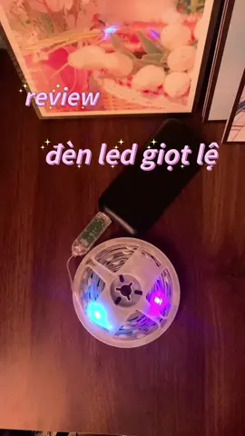 review đèn led giọt lệ dài 10m #xuhuong #review #denledrgb #decorbanlamviec #decor 