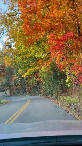 #backroads #falltime #ridinsolo @brooksanddunn #tennessee #youregonnamissmewhenimgone #easttennessee #creator #fyp #eastendroad #strawberryplains 