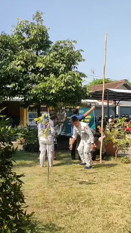 Persiapan Penananaman Pohon untuk Sekolah Hijau bersama Dinas Kehutanan Jawa Timur #sma #sman1lmj #liputansman1lmj #reboisasi #jawatimur #jatim 