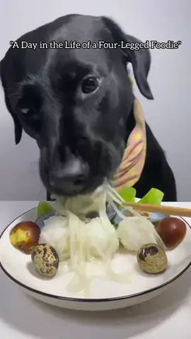 My pup dog 🐕 🐕 love to eat 🥑 🥝 all time | Dog love for food #tiktok #DoggyDining #PuppyFoodie #NomNomPup #HungryPup #FoodieFido #DoggyEats #CanineCravings #PuppersPlate #PawsAndPlates #GobbleGobblePup #MunchingMutts #TastyTails #PuppyPalate #FeedingFrenzy #DoggieDelights 