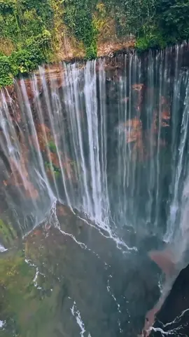 📍Tumpak Sewu Waterfall, Lumajang, Jawa Timur, Indonesia 🇮🇩  🎥 wiradimassatrio What do you think guys about this? Leave your comment below 👌 #tumpaksewuwaterfall #tumpaksewu #Airterjuntumpaksewu #waterfall #indonesia #indonesia🇮🇩 #nature #fyp #foryoupage #fypシ 