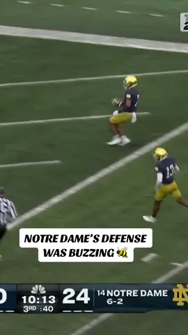Every Notre Dame INT against Pitt. #CollegeFootball #cfb #notredame #int 