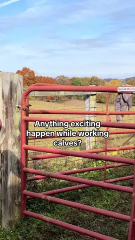Working cattle can get a little wild.#farmfamily#countryboys#farmboys#farmlife #wyattellis