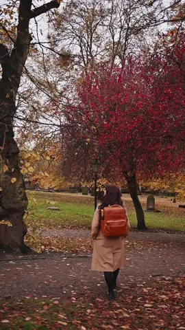 Edinburgh has so many beautiful spots that are perfect for an autumn walk 🍂 grab a hot chocolate, a croissant and lets wander!  Ready?  Camera bag gifted by @Kamrette ✨🍂 #coffeetok #edinburgh #autumnvibes #ukcontentcreator #scottishtiktok #dayinthelife 
