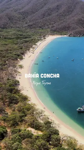 Te gusta 📍Bahía Concha?  Esta es una de las playas más hermosas del Parque Tayrona. Ven a conocerla.  #bahiaconcha #santamarta #colombia #viaje #turismo #playa #minca #parqueTayrona #amazing #medellin #bogota #cali #beach #southamerica #viajar #caribbean #tayrona #bogota