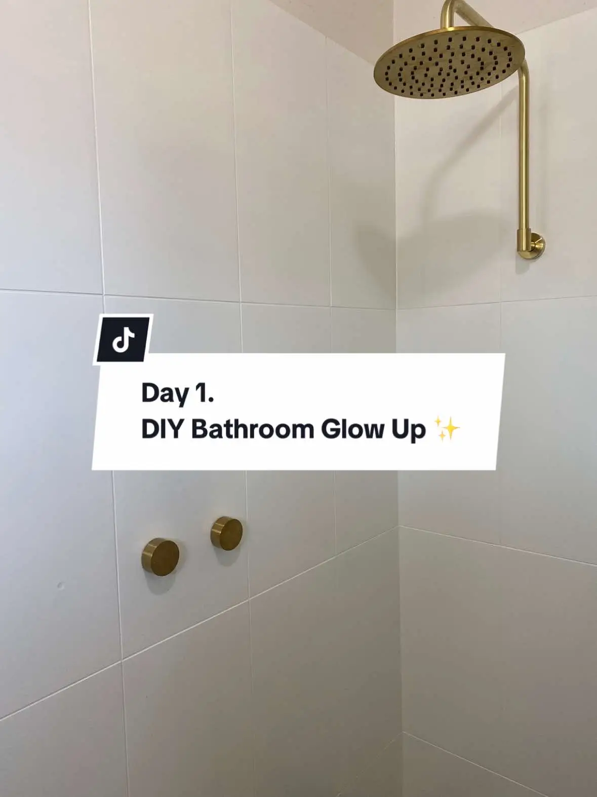 Day 1 of 10 DIY projects that transformed my house on a budget. A bathroom reno always seemed daunting and expensive! A few changes on a tight budget completely transformed this space. 🚿  #renovation #budgetrenovation #bathroommakeover #bathroomdesign #budgetbathroom #fyp #tiktokdiy #DIY #diyproject @TileCloud @al.ive body @Dulux Australia @Highgrove Bathrooms 