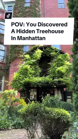 Have you heard of this hidden treehouse in Manhattan? #travelbucketlist #nycbucketlist #travelnyc #visitnyc #nyc #travel #newyork #thingstodoinny #LifeOnTikTok #tiktokpartner 
