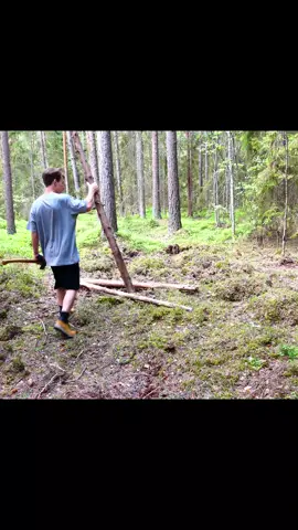 #bushcraft #build #camp #camping #ourdoor #survival #shelter #viral #fyp