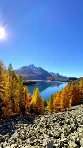 📍 Lake Sils, Switzerland 🇨🇭 Follow us for daily Swiss Content 🇨🇭 📌 Save this for your (next) trip to Switzerland 🇨🇭 🎥 by: @swisswoow  #berneroberland #switzerland #mountains #schweiz #swissalps #nature #swiss #alps #wanderlust #travel #jungfrauregion #suisse #landscape #bern #thunersee #grindelwald #lauterbrunnen #interlaken #lake #switzerlandpictures #swissmountains #tiktokschweiz #graubünden #engadinstmoritz #engadin #oberengadin #silsersee #sils #lakesils #stmoritz