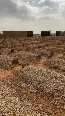 اللهم إرحم ذلك الوجه الذي يراودني في كل حين ، اللهم اغفر لمن اخترت له الرحيل اللهم إجعل دار #أبي آنيساً منيراً بارداً.. ‏اللهم إجعل روحه في اعلى مراتب النعيم .. اللهُم نعيمًا له لا ينقطع وبشائر تهطل عليه كالمطر يآرب العالمين ولجميع موتىٰ المسلمين يآرب..💔#فقيدي_أبي #محمد_بن_غرمان #رحم_الله_ارواحا_لاتعوض #اللهم_ارحم_موتانا_وموتى_المسلمين#رحم_الله_ابي_و_ابائكم_جميعاً #غفر_الله_لكل_غالي_فقدناه#اللهم_امين #تصميمي@محمد بن غرمان | Mohammed Grman #fypシ #foryou #viral 