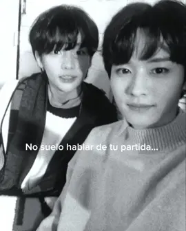 te extraño todos los días, ya casi se cumple un año de tu partida, todavía no puedo dejarte ir. #mejoramigafallecida #hyunho #desahogo #011122 #skz 
