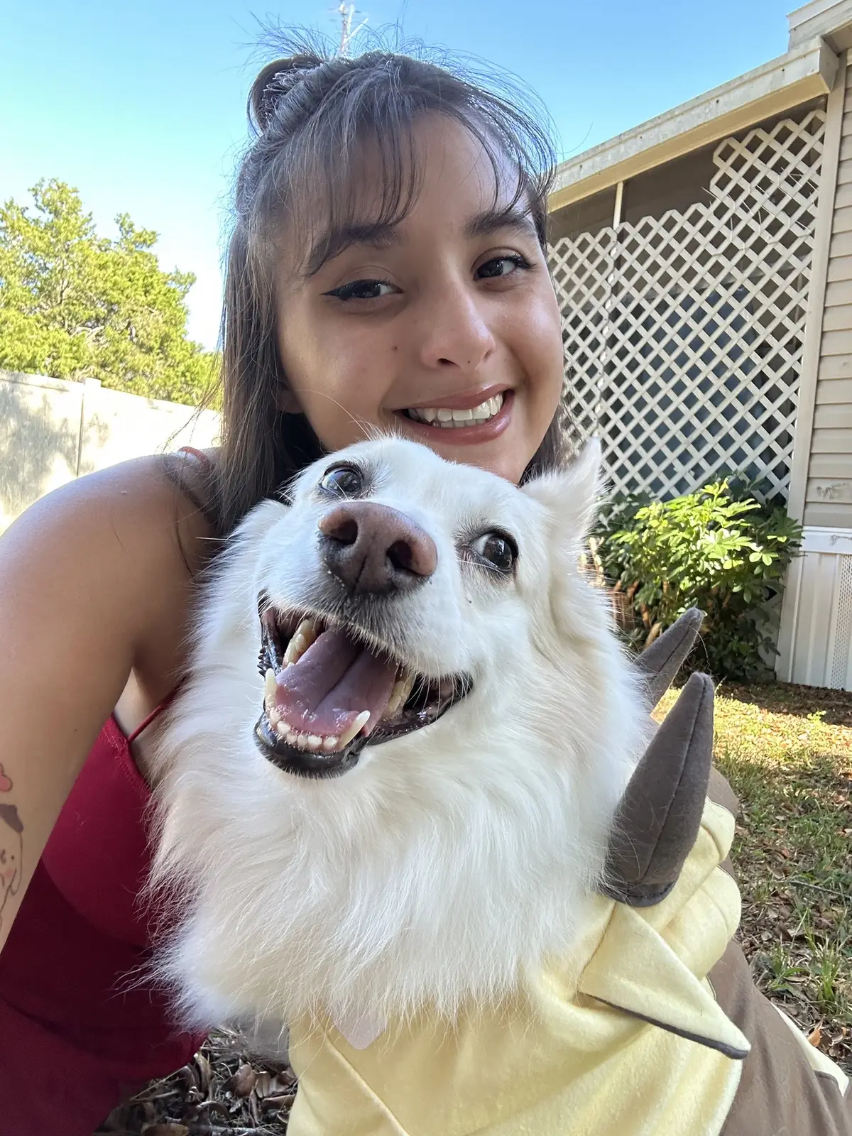 Happy Halloween from Suki n Appa 🎃🧡 #fyp #explore #foryou #halloween #spooky #fall #autumn #trending #trend #trends #appa #avatarthelastairbender #halloweencostume #halloweenlook #halloween2023 