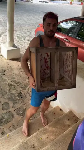 Happy Halloween everyone! Enjoy this cool magic scare trick! #magic #magictrick #magician #thetraitors #halloween #appear #scare