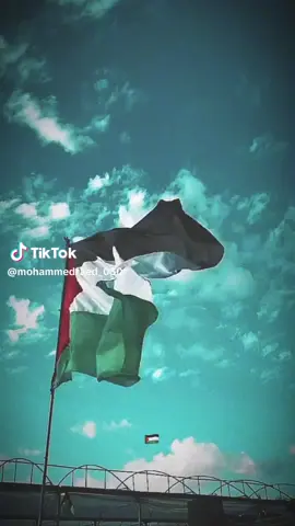 بو عبيده🫶👉 لعلاج القلق والتوتر عندما يتحدثو احرار الااامه لاا سمح الله 🫶🇵🇸✌👉