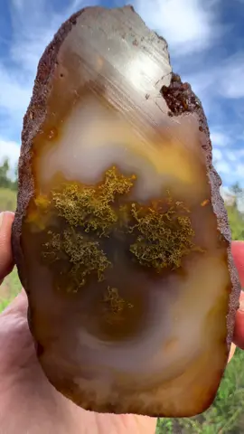 I did not expect the inside of this agate to be so cool!!😍 #rocks #agate #washington #crystals #carnelian #geology 