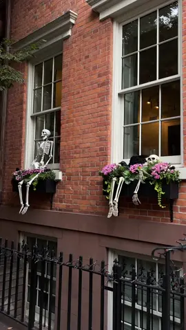 #halloweendecor #nyc #westvillage #halloween #nychalloween