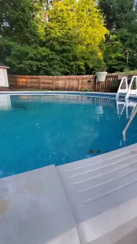 Life Hack How To Drain Your Pool