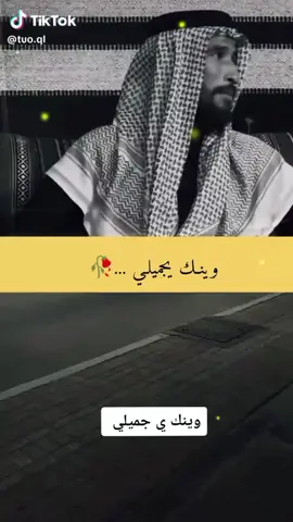 #محمد الملكي #وينك يجميلي#قبيلة الجميلة #العراق🇮🇶 #الكرمة #الموصل #الفلوجه 