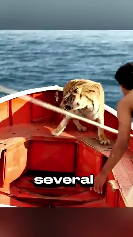 Boy gets trapped on boat with a tiger. #movie #film #movieclips #filmclips #movies #moviescene #foryou #foryourpage #fy #fypシ #trending #viral 