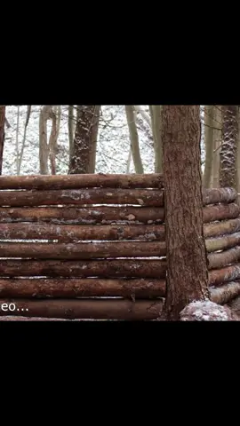 #bushcraft #build #camp #camping #ourdoor #survival #shelter #viral #fyp