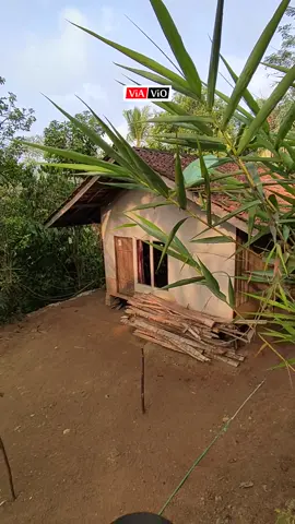 Sepinya Suasana Di Perkampungan #cisewu #garutselatan #jawabarat #kampung #desa 