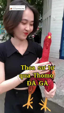 Thoa sư tử qua Thomo đá gà #mohinhkimloai #trumkimloai #donghobanhrang #decorcokhi #abmshop #thomo #ongtrumkimloai 