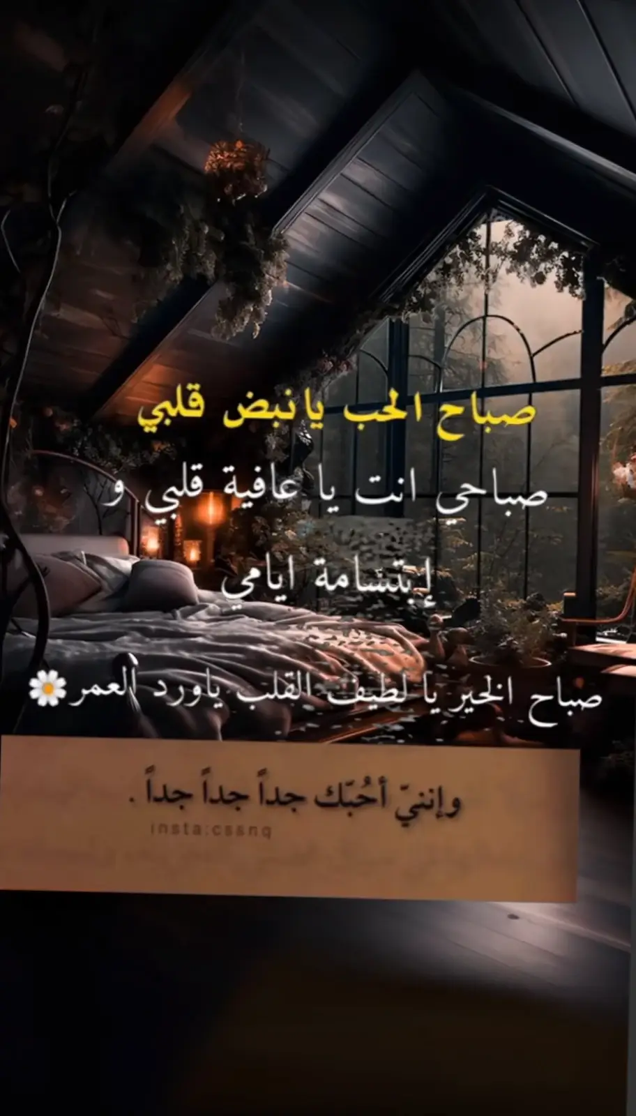 #محمود الجبلي #tiktokarab #مشاهدات