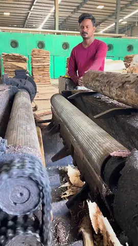 How to make Plywood ( प्लाईवुड ) inside the factory #foryou #indianfood 