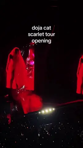 whole concert was stunning, opening night on halloween in san francisco but why not one outfit change doja cat 🤔 #scarlettourdoja #scarlettour #dojacat 