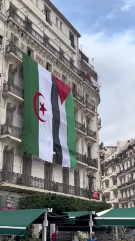 1 Novembre jour de révolution en Algérie ! 🇩🇿🇵🇸#alger#algeria#palestine#gaza#fyp#portoi#independenceday#dz 