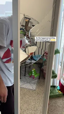 I can’t tell which one looks more guilty 😓 #foryoupage #fyp #xuhuong #catsbreakingstuff #spoiledcat #catsintrouble #catsoftiktok #PetsOfTikTok #funnycats #guiltycats #guiltyascharged #brokenmirror #crazycat #viralvideo 