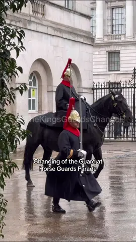 No matter the weather ☔️ they will always carry out their duties 🇬🇧 #fyp #fypage #foryoupage #fypシ #fypシ゚viral #london #changingoftheguards #horseguardsparade #horse #horsey #horsesoftiktok #tiktokguard #guardsoftiktok #royalguard #london #tradition #military #army #horseguards 