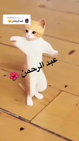 الرد على @REWAN حسب الطلب - عبد الرحمان 🌺