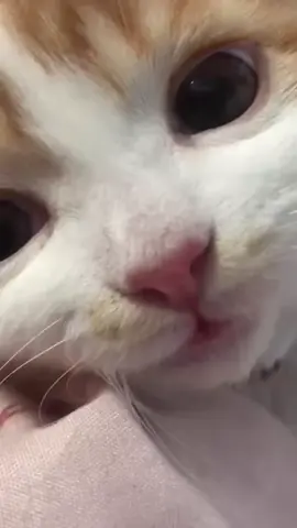 💓