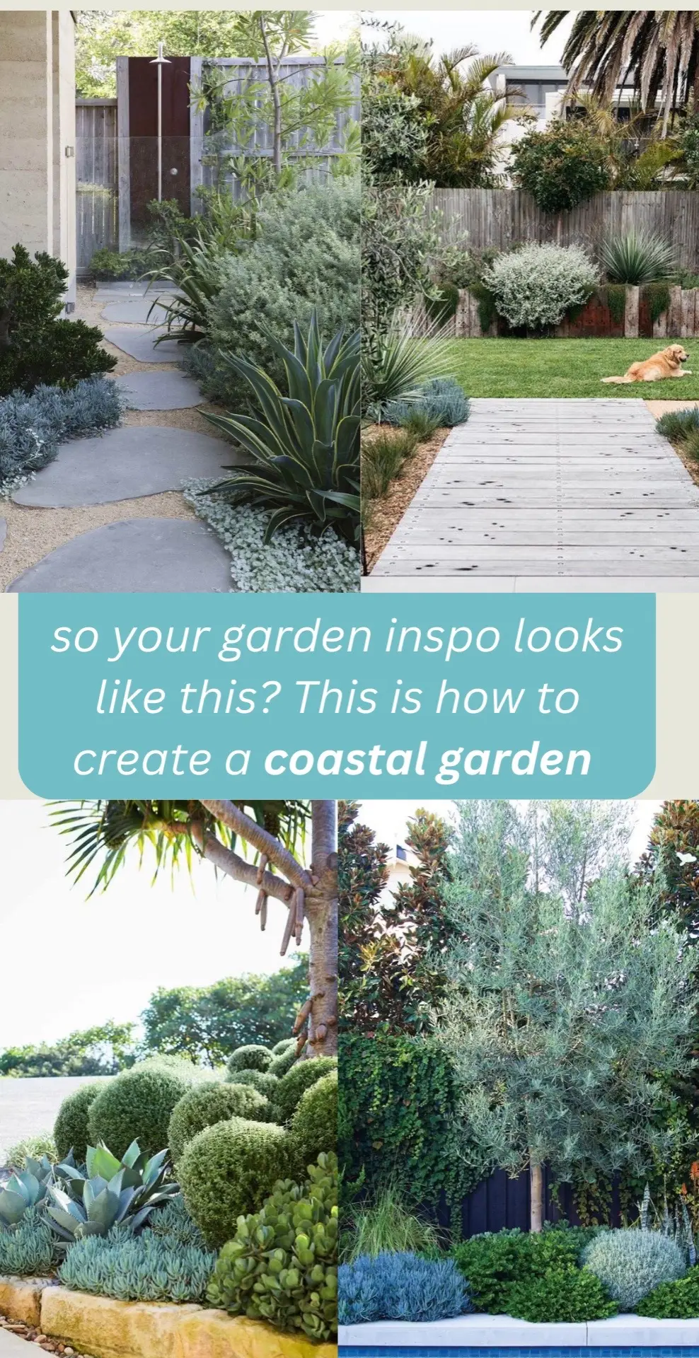 Even if you don’t live by the coast we support you living your beachy aesthetic 💛 #coastalgarden #australiangarden #gardeninspo #coastalliving 