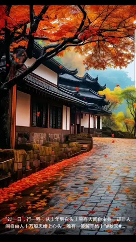 🍁🍂🌄