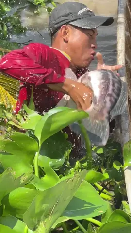 Amazing fishermen skills that are on another level 😱 #fishing 