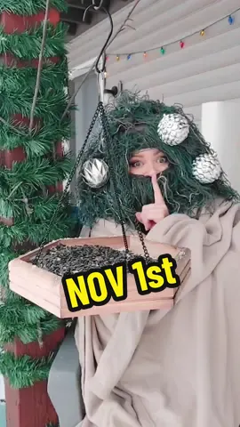 November 1st be like:  #firstsnow #birdladydrin #alliwantforchristmas #birds #facefeeder #funny #snow #birdwatching #extremebirdwatching #birdnerd #cold #winter #autumn #oldfootage #Outdoors #ghilliesuit #viral #fyp 