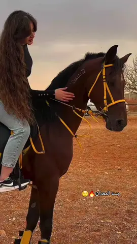 طالع من سرت وين وصل فيديو#عشاق_الخيل_العربي_الاصيل🐎 #عاشق_الخيل🐎♥️🤤 #المعدانيه💎🦌 #سرتاويه_يا_سادة_ليبيا_سرت_وبس💚🔥#سرتنا_سرت_ليبيا💚🌻 