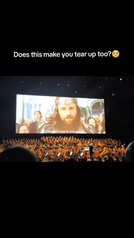 Follow for more! #paris #cineconcert #aragorn #youbowtonoone #lotr #howardshore #gondor #minastirith #rotk #returnoftheking #lordoftherings #frodo #CapCut 