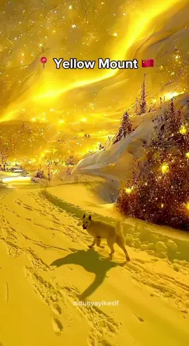 🥰✨ Places that don’t feel real! #travel #traveltiktok #nature #travelling #explore  🎥 DM us please for credits or removal  🇨🇳 IG:dunyayikesif  🇨🇭 IG:swiss.beautifuls  🇰🇿 IG:adilet_rakhmetolla  🇹🇷 IG:asya_cappadocia  DM us please for credits or removal 🙏