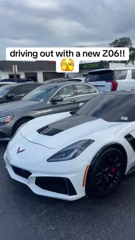 Chat what yall think?