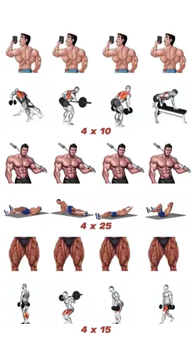 #Fitness #workout #bodybuilding #GymTok #sports 